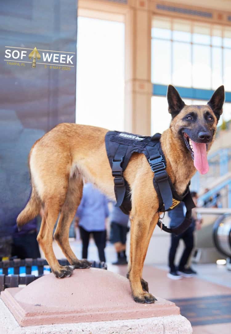 25sw service dog promo pic